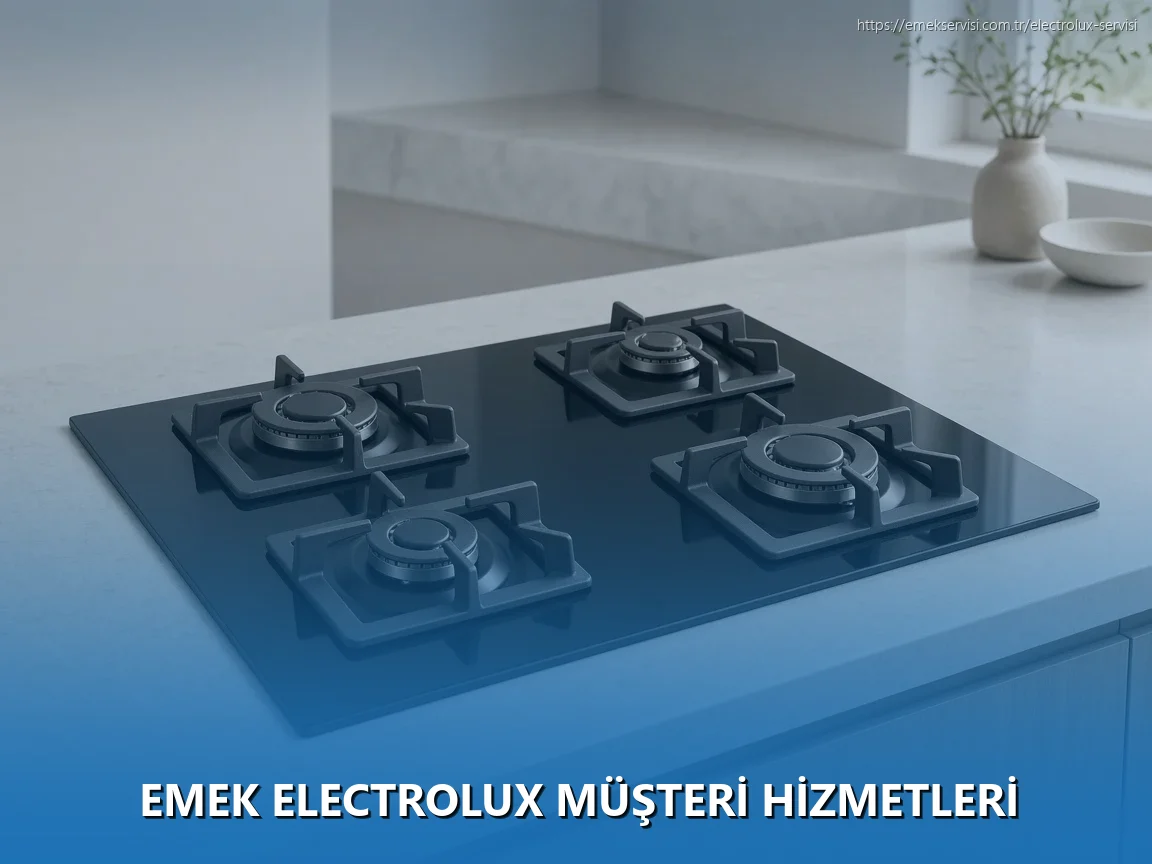 Emek Electrolux Müşteri Hizmetleri