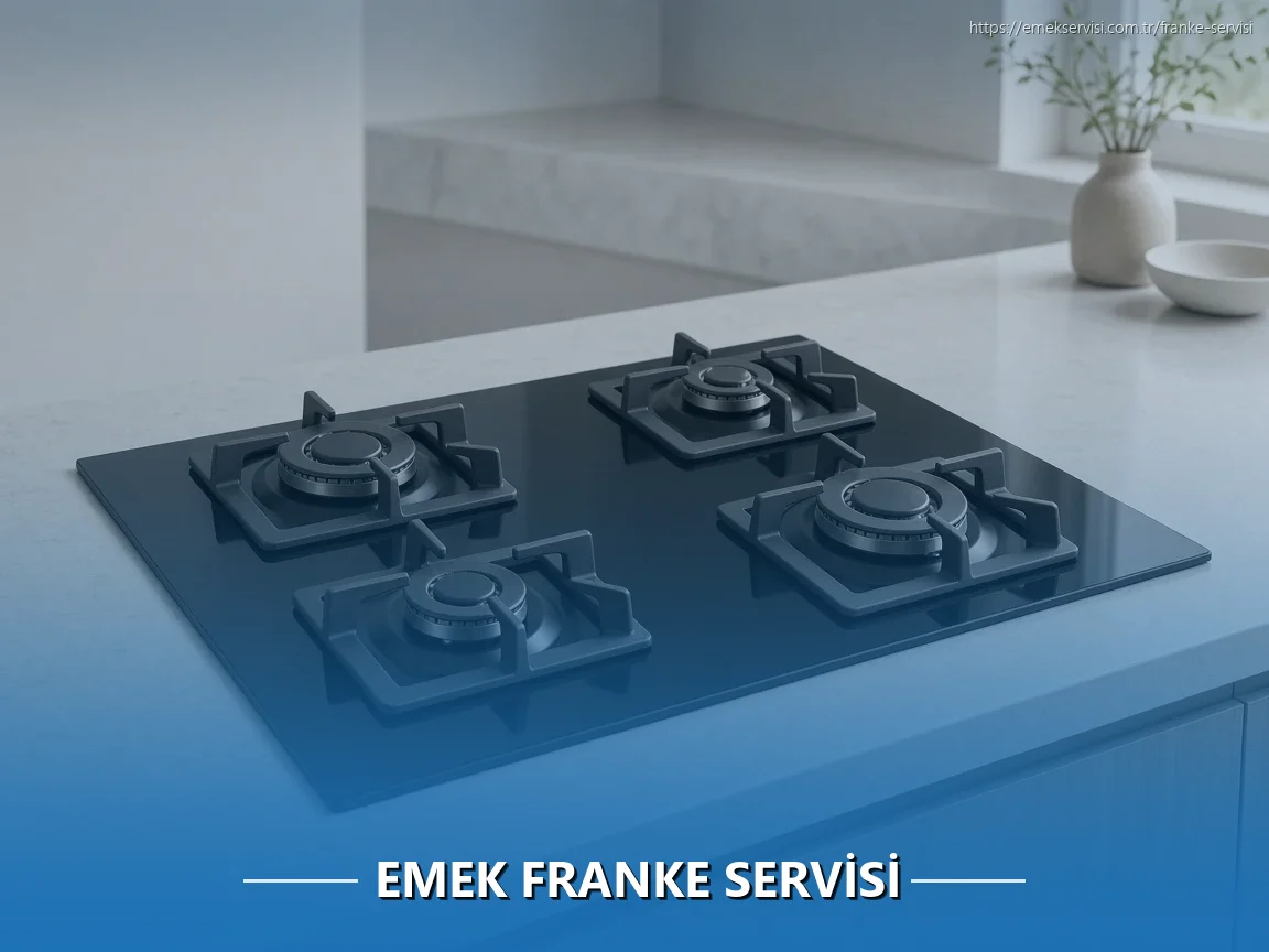 Emek Franke Servisi
