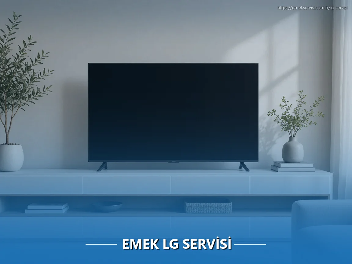 Emek LG Servisi